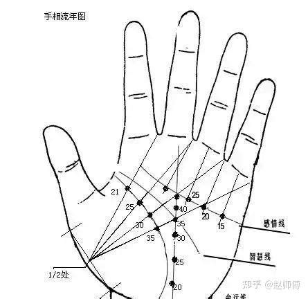 手相大全|手相图解大全，零基础，读三遍9分钟就会了...